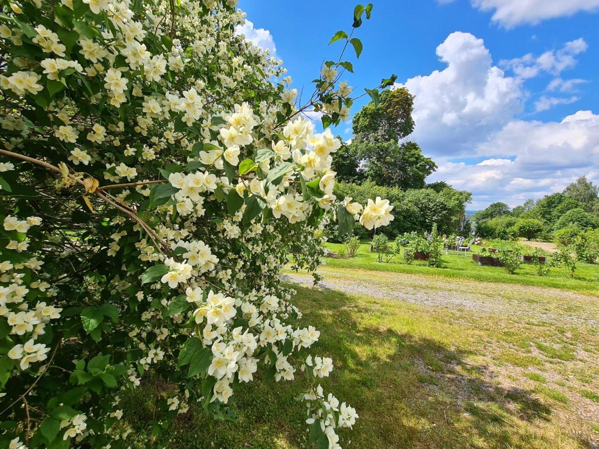 Risberg Herrgard Hagfors Dış mekan fotoğraf